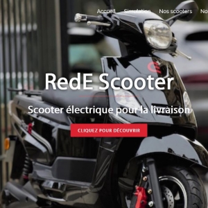 RedE et Bluedistrib collaborent pour des services de livraison 100% électrique