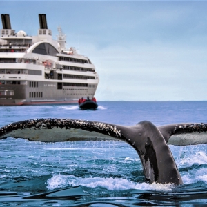 La Compagnie du Ponant fête son 30ème anniversaire