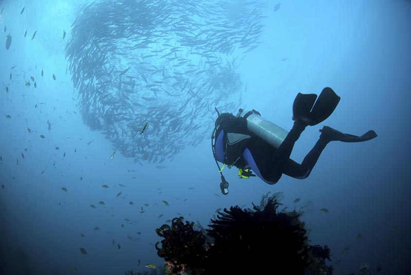 Les meilleures expériences de plongée à Bali