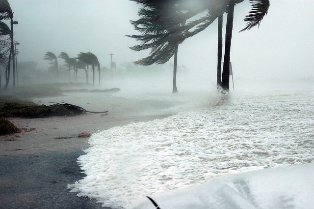 Des centaines de logements proposés sur Airbnb pour les sinistrés de l'ouragan Florence