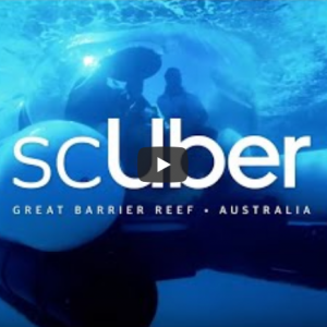 scUber : Uber lance un service de location de sous-marin