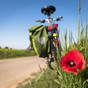 Livraison de repas en PACA : Beerstrot Burger s'équipe de vélos électriques
