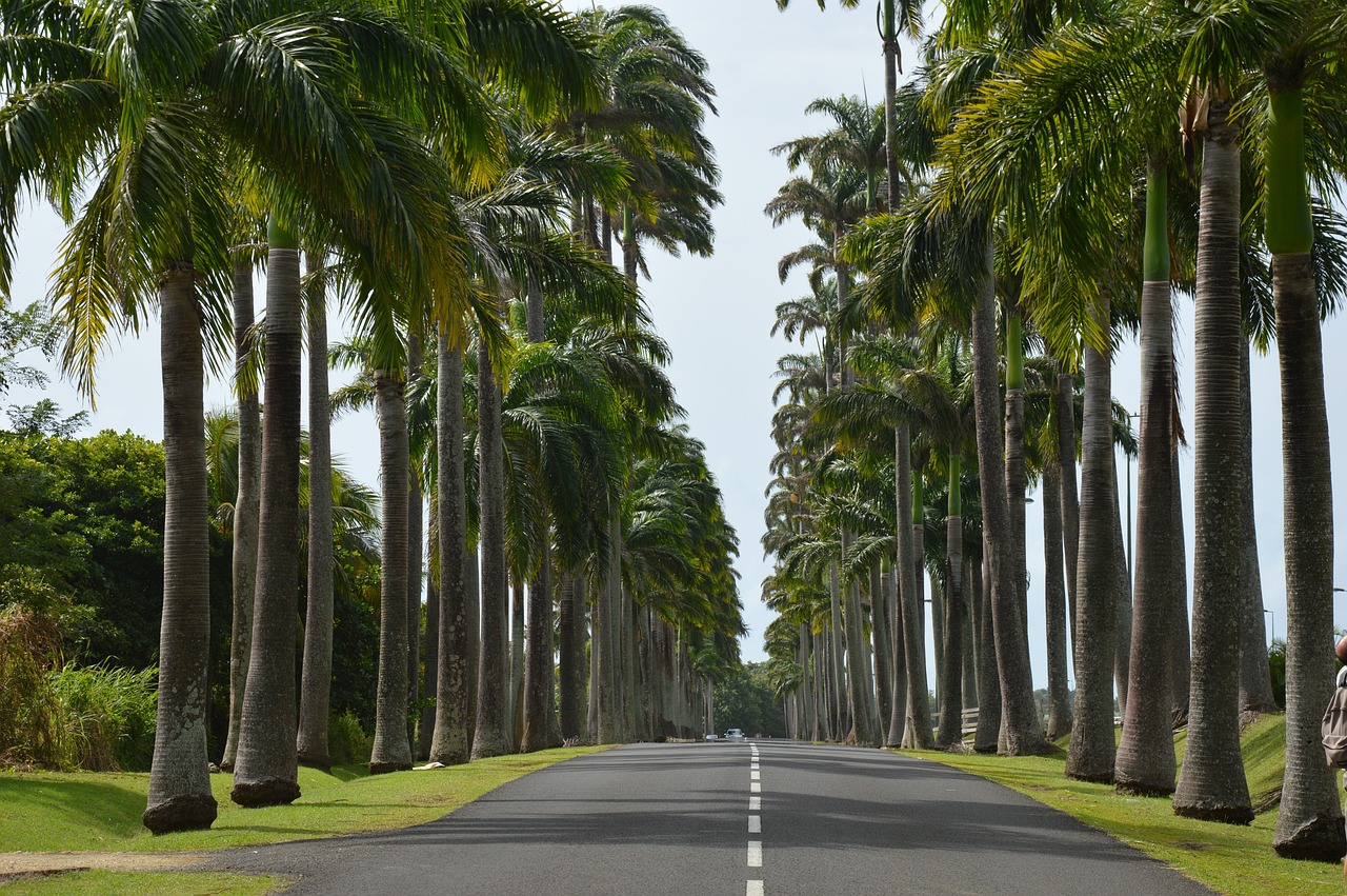 Covoiturage en Guadeloupe : hausse de 28% en avril 2023 grâce à l'inflation et aux initiatives publiques