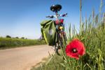 Livraison de repas en PACA : Beerstrot Burger s'équipe de vélos électriques