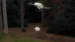 Les drones de livraison de Manna