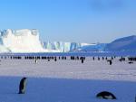 Une croisière exceptionnelle en Antarctique avec HURTIGRUTEN