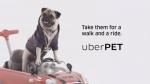 Uber Pet : une fonctionnalité pour voyager avec son animal de compagnie